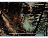 Amanti Lane Natatorium Park Spokane Washington Wa Unp DB Cartolina V18 - £4.79 GBP