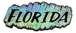 Florida Silver Prism Fridge Magnet - $6.99