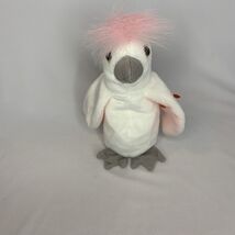 TY Beanie Baby Kuku the Cockatoo with TAG ERRORS RARE RETIRED Bird 1997 ... - $8.00
