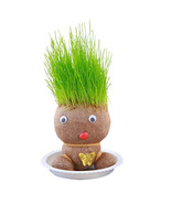 Plant Grass Doll - $19.99