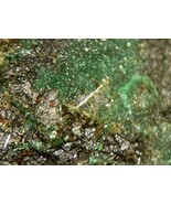 Kamotoite-(Y) - Kamoto, Katanga, CONGO - €138,33 EUR