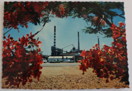 Mount Isa Queensland View of Mount Isa Mines Vintage Postcard - £4.64 GBP