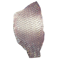 2pcs Aurora Glitter Powder Tilapia Fish Skins Hide Leather Craft Supply ... - $209.77 MXN