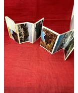 Grandfather Mountain Linville NC North Carolina VTG NOS 10 Postcards Pho... - £14.78 GBP