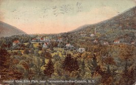 TANNERSVILLE-in-the Catskills New York~General View Elka PARK~1914 Postcard - £7.73 GBP