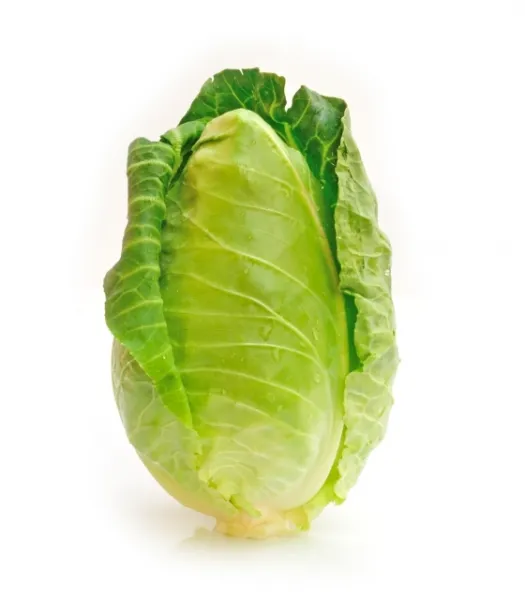 300 Charleston Wakefield Cabbage Heirloom Cone Brassica Oleracea Vegetable Seeds - $9.00