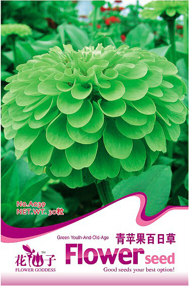 1 Original Pack, 30 seeds Green Garden Youth-And-Old-Age Common Zinnia Zinnia El - $6.73