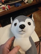 Calplush Husky dog Plush stuffed animal toy 2019 gray 9" high - £3.86 GBP