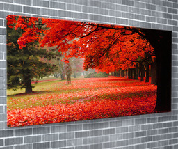 Red Autumn Tree Canvas Print Beautiful Nature Wall Art 55x24Inch Ready T... - £70.21 GBP