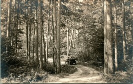 Vtg Postcard 1910s AZO Itasca Lake Minnesota MN Touring Car On Winding Road UNP - $26.68