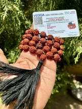 Rosario Certificato Laboratorio Naturale 5 Mukhi Rudraksha Rudraksh Mala... - £17.88 GBP