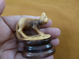 (tb-wolf-17) tan playful Wolf Dog TAGUA NUT palm figurine Bali love wolv... - £40.26 GBP