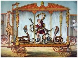 4493.Decoration Poster.Home interior design.Wall decor.Circus man in cage.Snakes - £13.75 GBP+