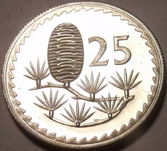 Cyprus 25 Mils, 1963 RARE Proof~25,000 Minted~Cedar Of Lebanon~Dove~Free... - $10.67