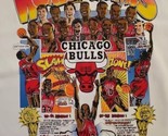 Chicago Bulls T-Shirt Single Stitch 3peat Champs Comic Strip 18-20 1993 ... - $79.15