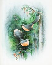  bird lovers decoration digital downloadable printable art christmas card bird couple 2 thumb200