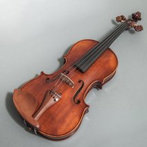 Sky FL001-JB-O400 Hand Made Professional 4/4 Full Size Violin Jujube Wood Fitted - £345.59 GBP