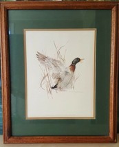 Something Different Oak and Art SIGNED Numbered Mallard Duck Print 18&quot; x 22&quot; - $19.99