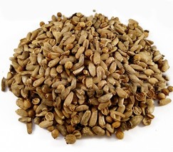 Milk Thistle seed Herb Tea - for liver detoxification, Silybum marianum - £3.41 GBP+
