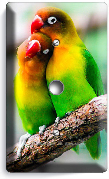 SWEET LOVEBIRDS PARROTS LOVE BIRDS LIGHT DIMMER CABLE WALL COVER ROOM HOME DECOR