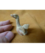 (Y-SWA-10) little tan gray SWAN bird carving SOAPSTONE gem stone figurin... - £6.75 GBP