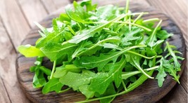 Tisseeds 400 Arugula &quot;Rocket&quot; Seeds Fresh Harvest For 2024 Gardens Fast Ship Us - £6.87 GBP