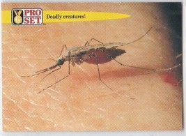 M) 1992 Pro Set Facts and Feats Guinness Trading Card #72 Malarial Parasites - $1.97