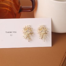 Shion jewelry personality firework flowers earrings metal copper inlaid zircon earrings thumb200