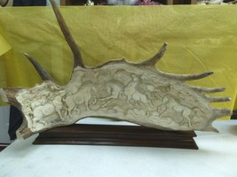 (horse-6) wild pr Horses of shed ANTLER figurine Bali detailed carving s... - $1,077.51
