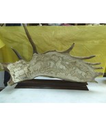 (horse-6) wild pr Horses of shed ANTLER figurine Bali detailed carving s... - £845.55 GBP
