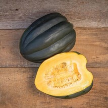 LWK Squash Seeds Acorn Table Queen 25 Ct Winter Vegetable Nongmo Easy Grow - $171.56 MXN