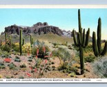 Giant Cactus Supersition Mountain Apache Trail AZ UNP Unused WB Postcard... - $3.56