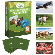 Animal, Insect And Ocean Creatures Flash Cards - 100 Educational Flashcards For  - £26.80 GBP