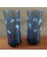 Libbey Tawny Floral Blue Drinking Glasses 6.5&quot; Set 2 Tall Tumblers Vintage - £18.12 GBP