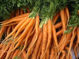 Scarlet Nantes 1200 Carrot Seeds Fresh Garden - £9.51 GBP