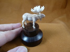 moo-w55 x-small white Moose Elk bull standing shed ANTLER figurine Bali ... - £64.03 GBP