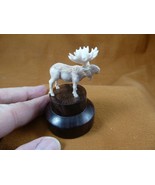 moo-w55 x-small white Moose Elk bull standing shed ANTLER figurine Bali ... - $109.02 CAD