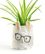 Bunny w/Glasses Pet Planter Adopt Dexter Plant Parent Buddies Ceramic Dr... - £23.65 GBP