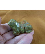(Y-FRO-746) green orange unakite FROG frogs gem stone gemstone CARVING f... - $17.53