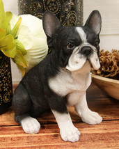 Realistic Lifelike Black French Bulldog Puppy Dog With Glass Eyes Statue... - £22.77 GBP