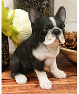 Realistic Lifelike Black French Bulldog Puppy Dog With Glass Eyes Statue... - €24,87 EUR