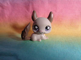 Littlest Pet Shop Gray Chinchilla Purple Snowflake Eyes #687 - $5.43