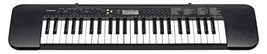 Casio CT-S100 Casiotone 61-Key Portable Keyboard with Piano tones, Black - £255.01 GBP