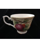 Parchment Fruit Duchess Fine Bone China Made in England Tea Cup only  ma... - $173.54 MXN