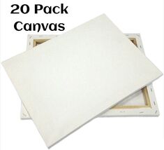 20 Pack Artist Canvases 16x20" Pre-Stretched Cotton Duck Double Acrylic ... - $65.99