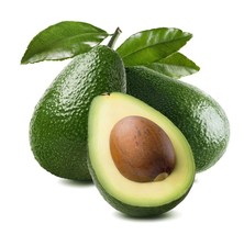 Avocado ‘Zutano’ grafted plant, Primo Size 18”-36” tall, “B” type - £106.19 GBP