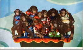 Chimpanzee Preformers St. Louis Zoo St. Louis Missouri Postcard PC196 - £7.98 GBP