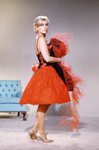 Kim Novak Sexy Full Length Pose in red Dress 1950&#39;s 24x18 Poster - $23.99