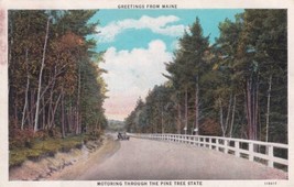 Maine ME Greetings From Motoring Through The Pine Tree State Calais Post... - £2.33 GBP