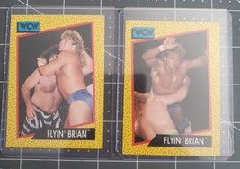 1991 WCW Impel #60 &amp; #62 Flyin Brian Pillman Caed PRO wrestling Legend WWE AEW - £2.57 GBP